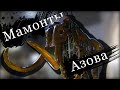 Азов. Краеведческий музей заповедник города Азов. Мамонты Азова!