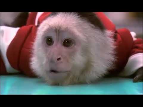 Dr. Dolittle 3 (2006) trailer 1