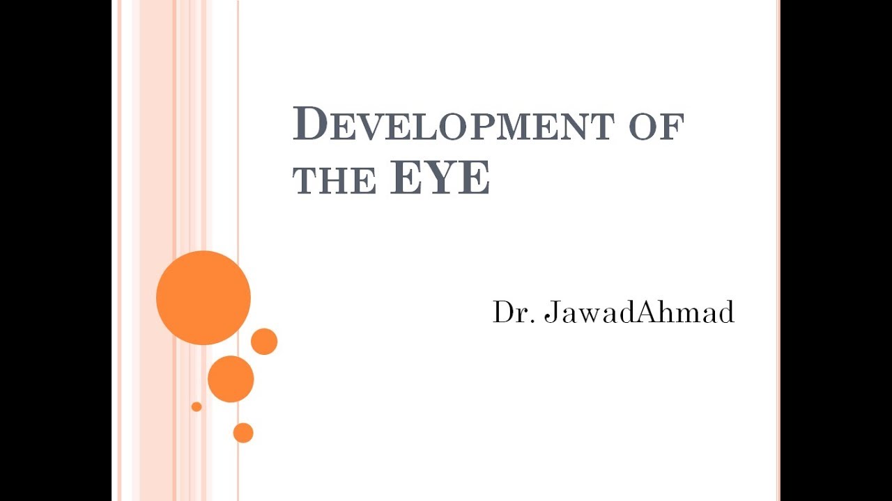 Development of the Eye part 1; Optic Cup formation YouTube