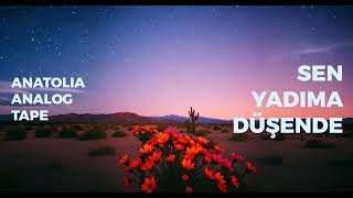 Sen Yadıma Düşende 1970 Rock Cover Anatolia Analog Tape