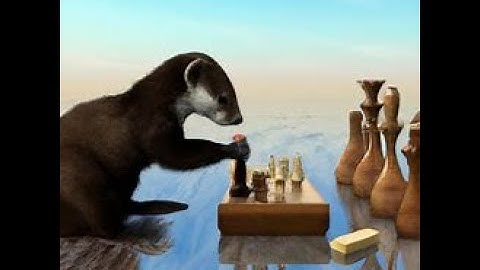 Defeating YOTUBER bots on CHESS.COM ( ft CodeMiko bot and Ludwig bot)