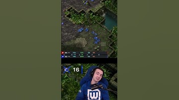 SC2 Highlights: Maru