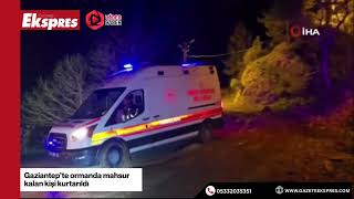Gaziantep’te ormanda mahsur kalan kişi kurtarıldı