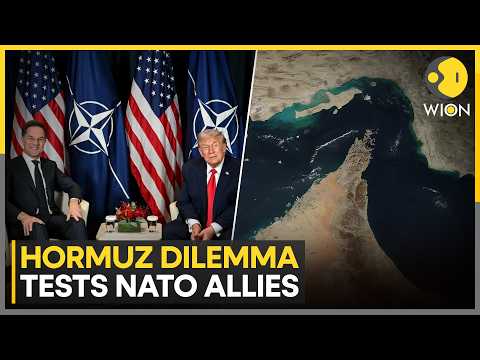 US-Iran War: NATO Allies Weigh Options To Keep Strait Of Hormuz Open | WION News