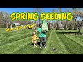 Spring grass seed sale seed tag info