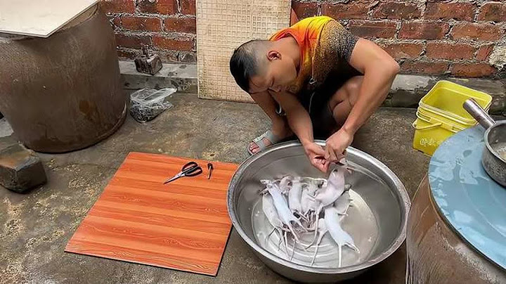 小伙烟熏稻草鼠，一层稻草一层田鼠，一把火下去白鼠变成金鼠