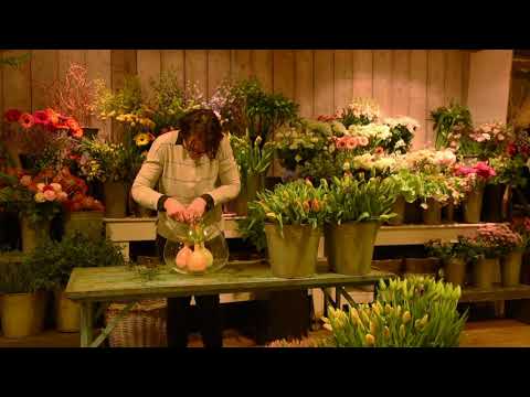 Video: Wat om met tulpe te doen wanneer hulle klaar blom?