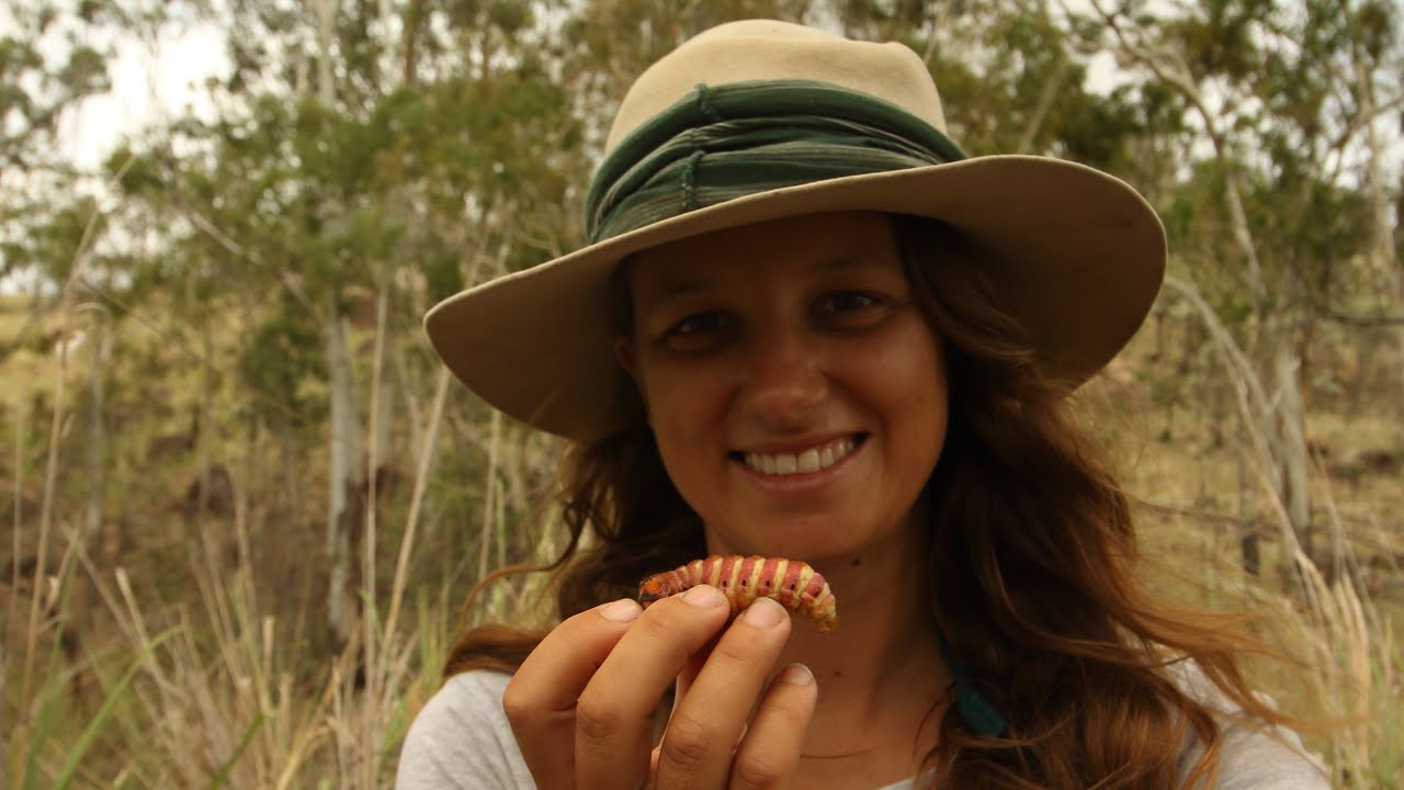 Bushcraft and Traditional Bush Tucker – Free Range Sailing Ep 90