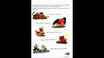 Class II, EVS, Chapter 9, More on Animals