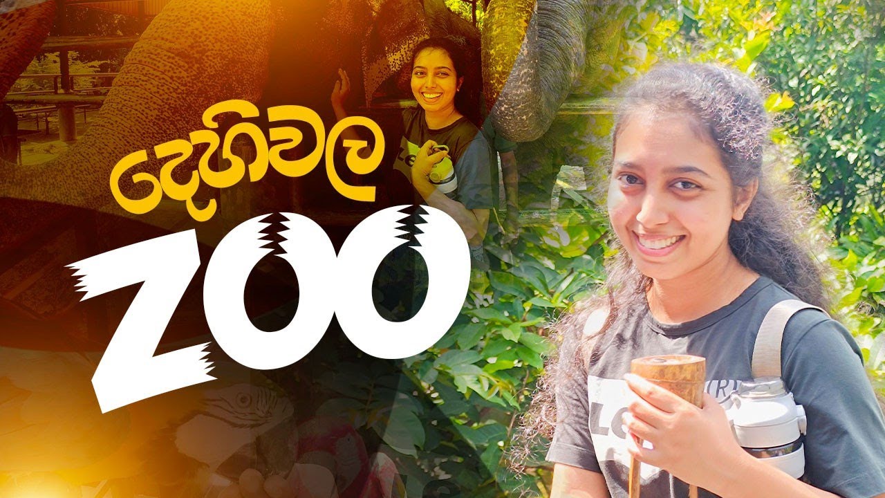 දෙහිවල සත්තුවත්ත බලන්න ගියා 🦁🍃 | Dehiwala Zoo 🇱🇰 | Wasana's Diary