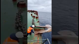 His Ship Was Saved From Sinking .