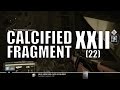 Destiny - Calcified Fragment: XXII (22)