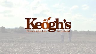 Keoghs Crop To Crisp