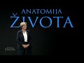 Bolesti srca i liječenje kancera | Epizoda 1 | Anatomija života | Hayat TV
