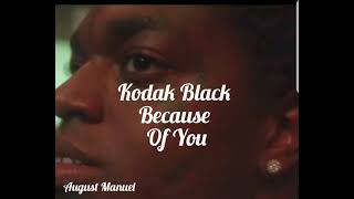 Kodak Black-  Because Of You (Official Audio)