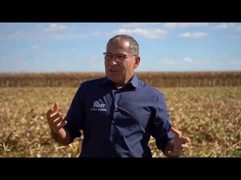 Mais Milho: produtor em MT mostra o quanto parcerias ajudam na hora de produzir | Canal Rural