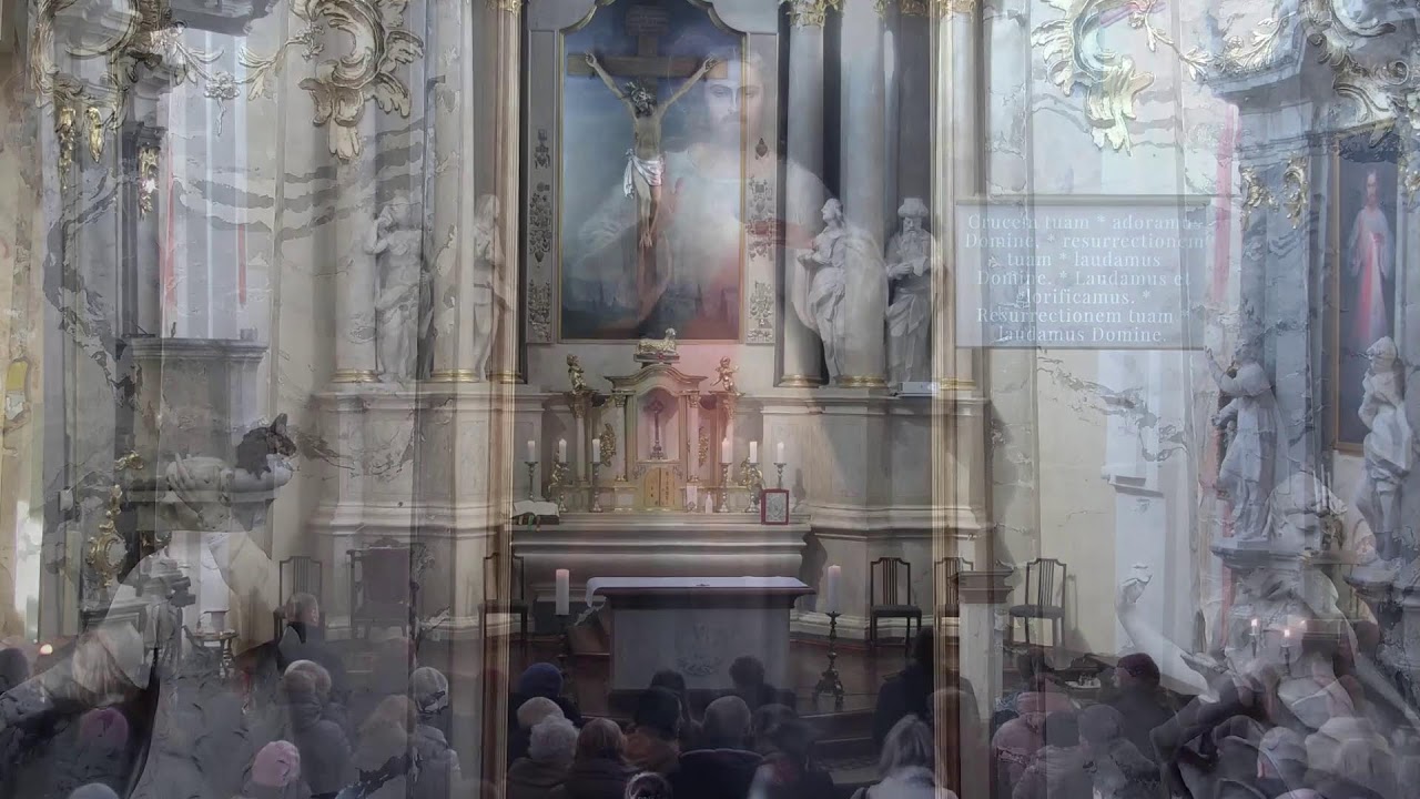 Transmisja Mszy św. z Kalwarii Wileńskiej