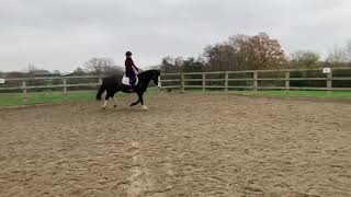 Ad ref 244213   Video 2