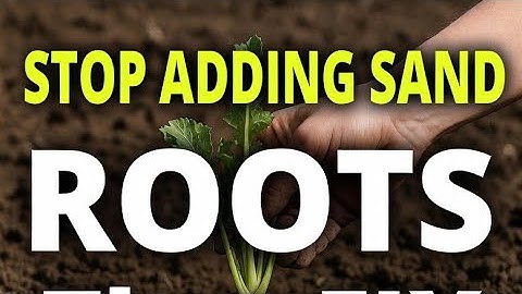 “This ROOT Trick FIXED My Clay Soil Overnight! (Drains Better Than Sand!)”