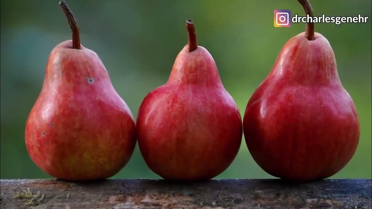 The 5 best fruits for lowering high triglycerides YouTube