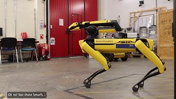 SMuRFs Visualise your Thesis 2022 : Peoples Choice Award