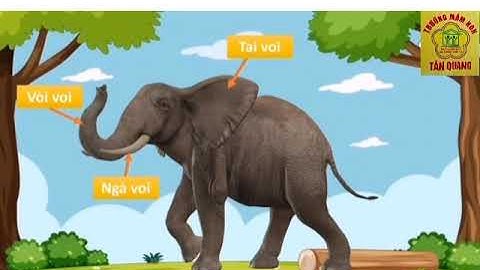 Hướng dẫn pH trò chuyện với trẻ 5-6 tuổi " Trò chuyện về 1 số con vật sống trong rừng" tại nhà.