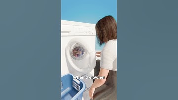 Cat Survives Washing Machine Cycle 😨