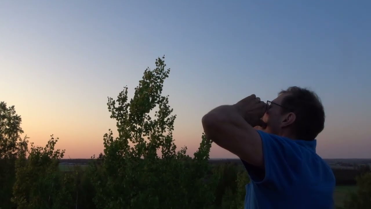 Aikansa kutakin / Tarzan huuto !