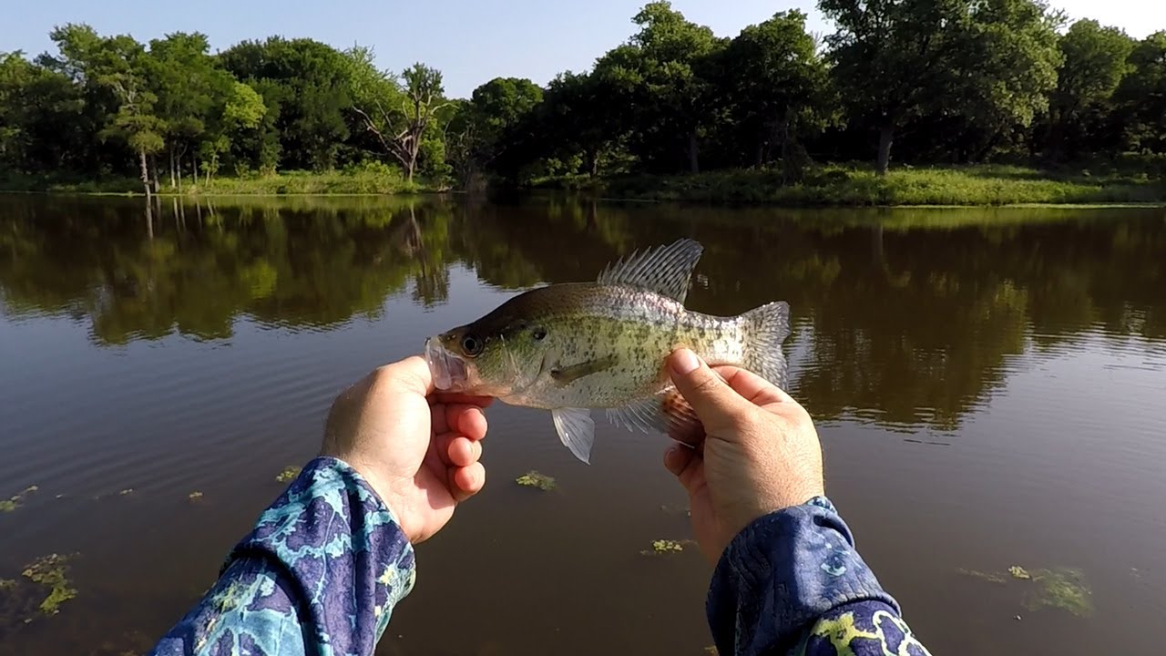 Jig Spinners, Pine Outdoor Crappie Baits at the Buffalo hole! My Dad Out Fishes Me...With Worms