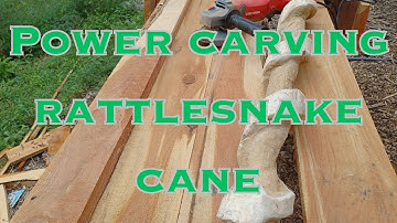 Working on my next rattlesnake walking cane.