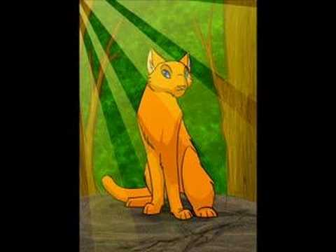 Squirrelflight- I must not Chase the Boys