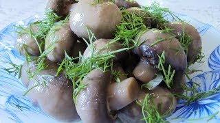 Маринованные шампиньоны. Нежные и очень вкусные грибочки! Маринованные шампиньоны. Нежные и очень вкусные грибочки!
