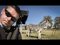 Can you shoot wildlife on a 4x5 view camera stenopeika 4x5  rodenstock 360mm  fp4  bring it