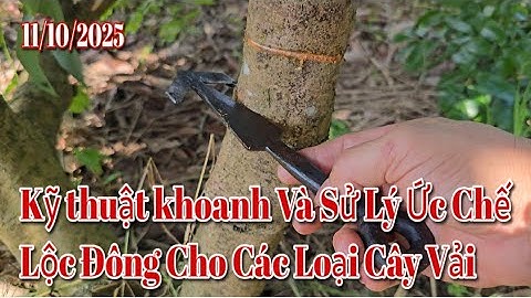 Kỹ Thuật Khoanh Và Sử Lý Ức Chế Lộc Đông Các Loại Vải
