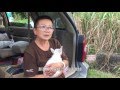 五百個孩子的媽媽 _ 張媽媽流浪動物之家 Chang Mama Animal Shelters & Rescues for Pet Adoption in Taiwan