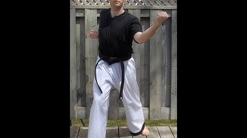 Taekwondo: Hapkido: Foundations: Circular middle block - front view