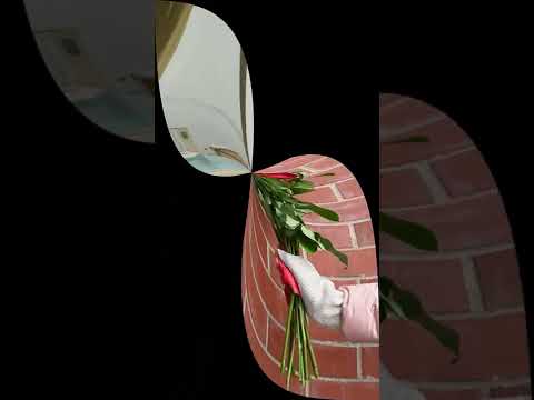 С добрым утром открытки музыкальные./ Красивое видео. #Shorts.