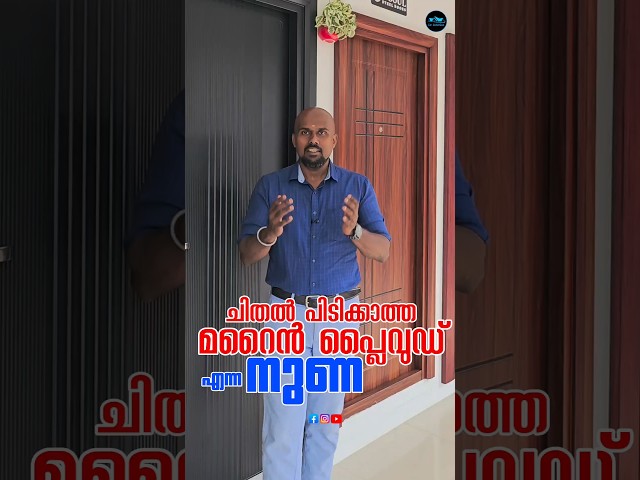 ചിതൽ പിടിക്കാത്ത Marine Plywood എന്ന നുണ@Shorts #marineplywood#trending #home #interiordesign