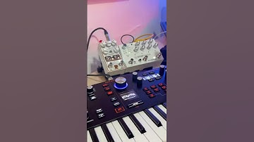 Experimenting with FXs  #hydrasynth #fxpedal #solidgoldfx #echosystem #shorts