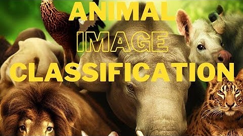 Animal Image Classification Model Training with Google Colab | Deep Learning Tutorial | Part 1