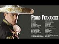 PEDRO FERNANDEZ SUS MEJORES BALADAS ROMANTICAS CANCIONES - PEDRO FERNANDEZ 25 EXITOS INOLVIDDABLES