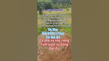 Dt,3ha Vườn cà phê giá rẻ tưới giỏ nhọt điện năng lượng mặt trời, xã sơn lang huyện kbang gia lai