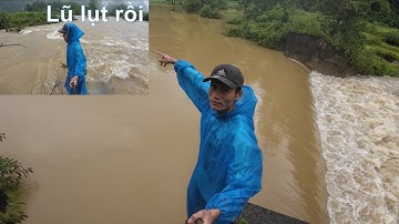 thả lưới bắt cá mùa lũ / xomrungtv