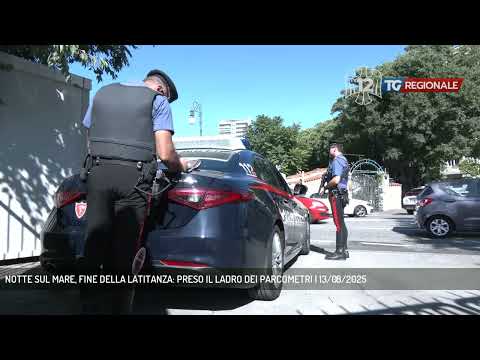 NOTTE SUL MARE, FINE DELLA LATITANZA: PRESO IL LADRO DEI PARCOMETRI | 13/08/2025