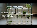 Plants Can Talk to Each Other! | Phytology | Creation is Cool