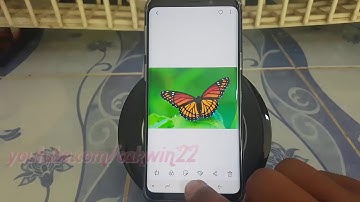 Samsung Galaxy S9 : How to Turn on Analyze on screen Images Device assistance app (Android Oreo)