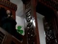 كلمات للحياة فضيلة الشيخ وليد الروبي 