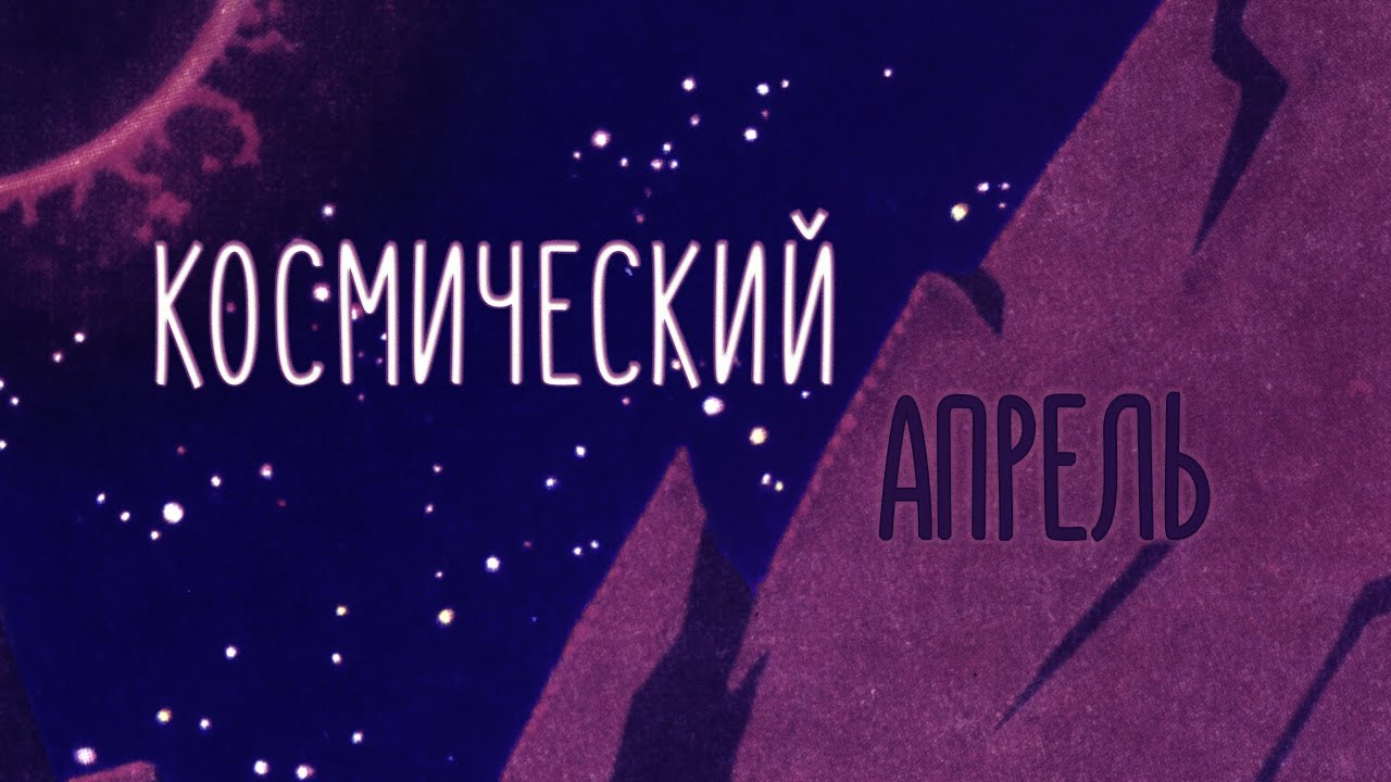 ⁣ГРИБЫ - КОСМИЧЕСКИЙ АПРЕЛЬ