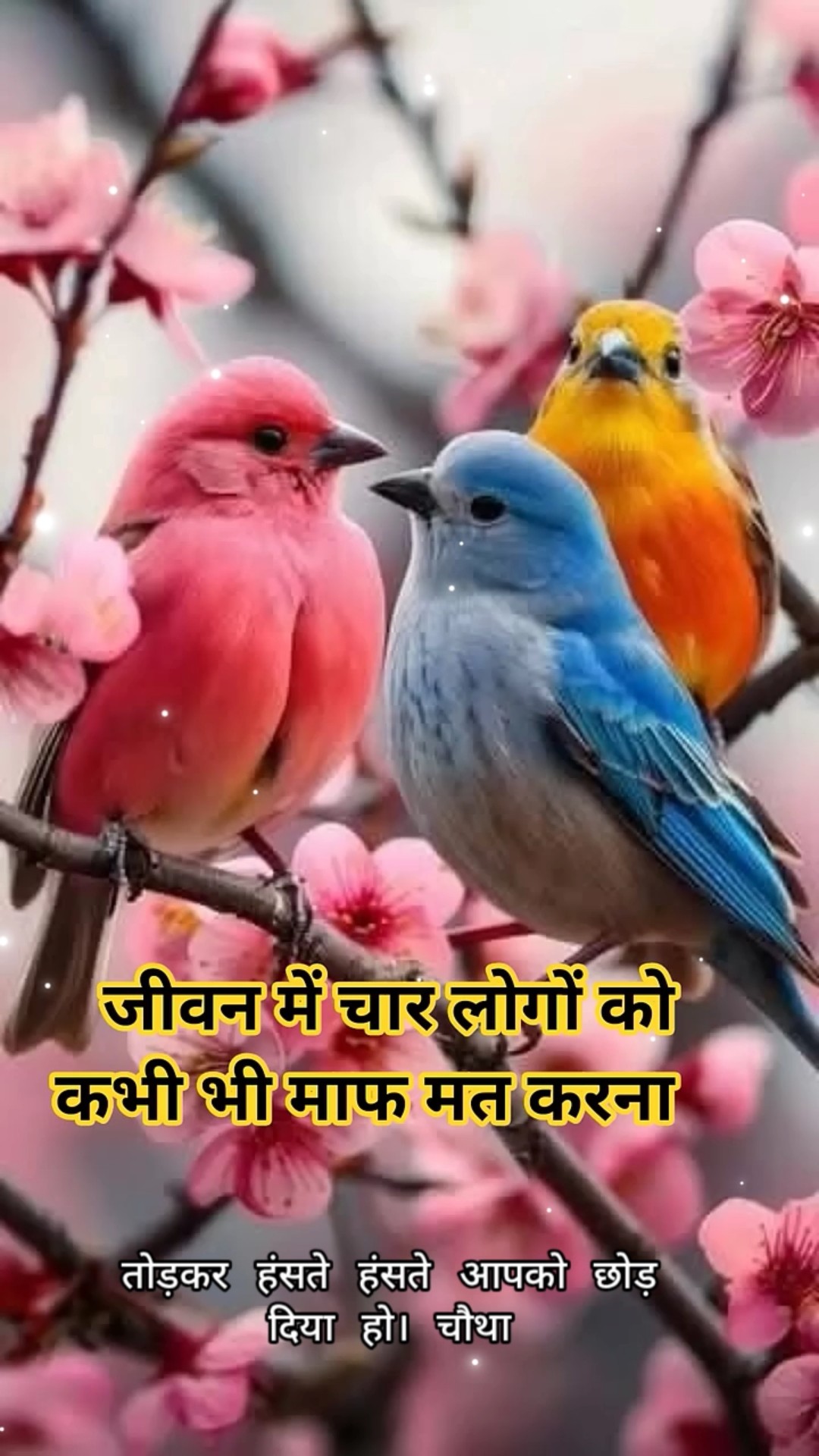 मोटिवेशनल - ShareChat