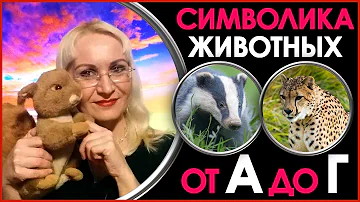 Символика Животных. Что Символизируют Животные? Символическое Значение Животных от А до Г. Символика